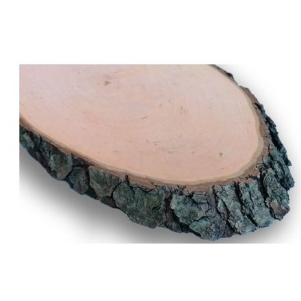 Naambord boomschijf