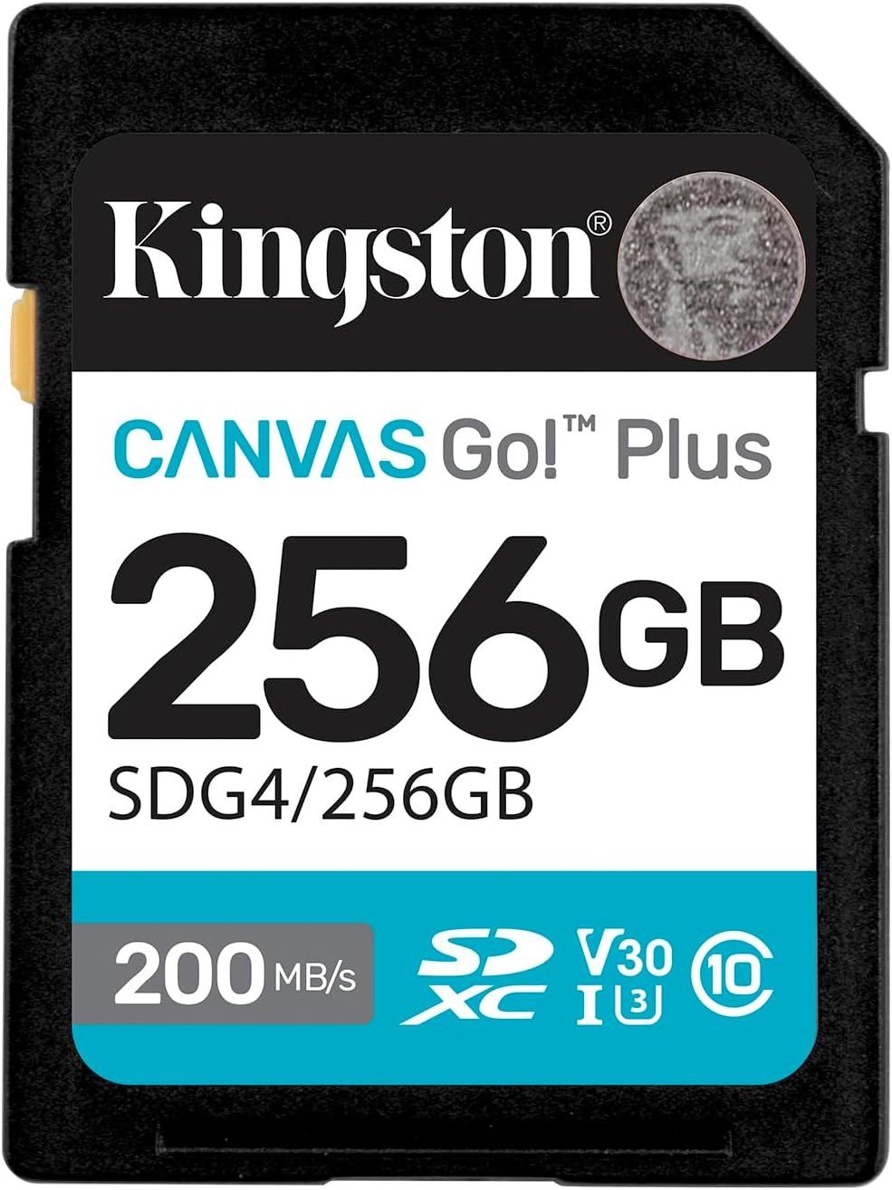 Kingston Canvas Go Plus UK plug