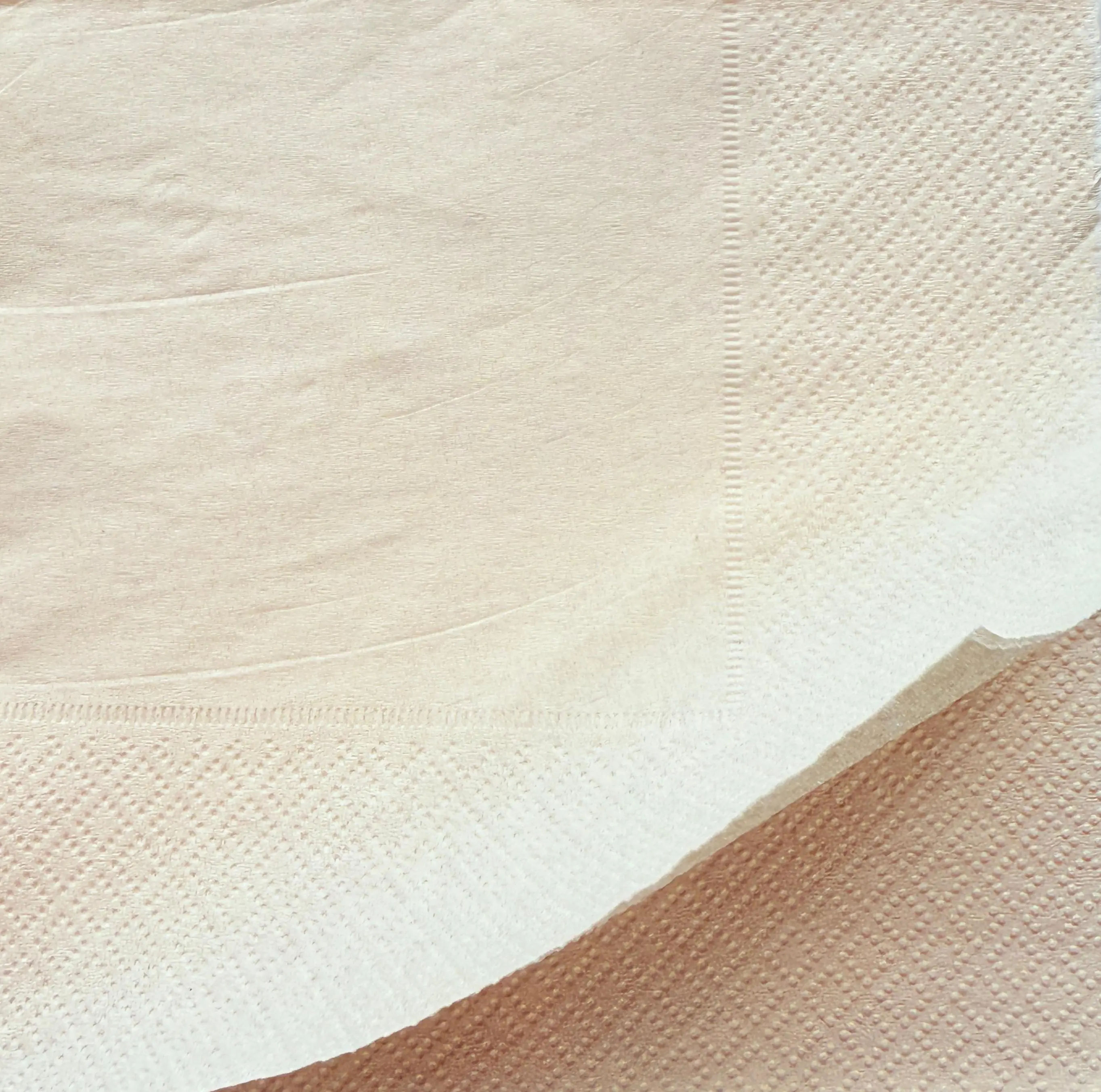 Brown Tissue Paper 2 - PLY - view 3