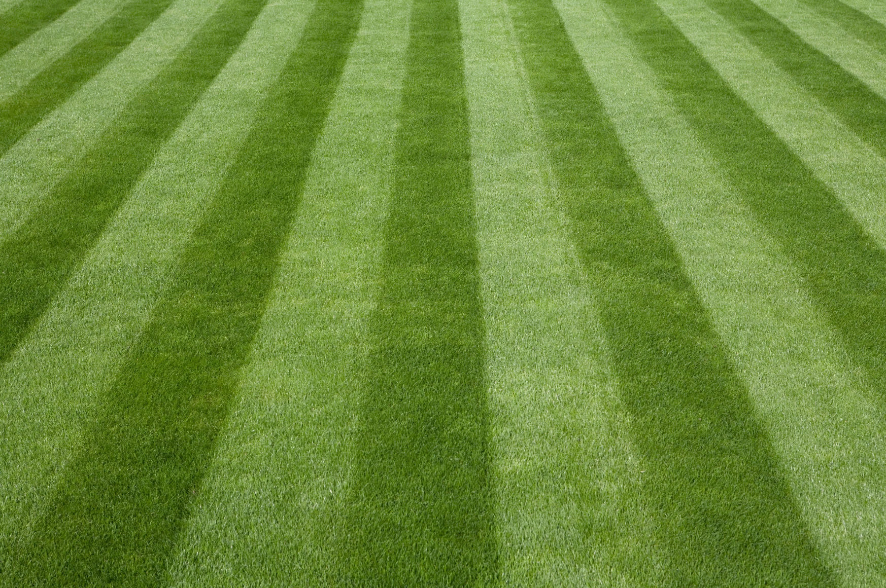 Edging