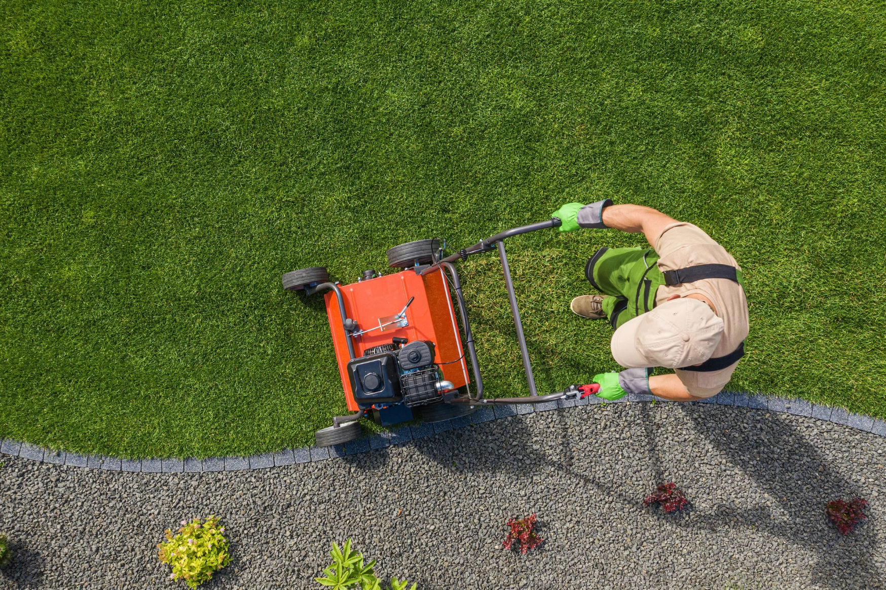Lawn