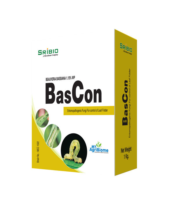 BasCon