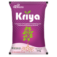 Kriya Powder