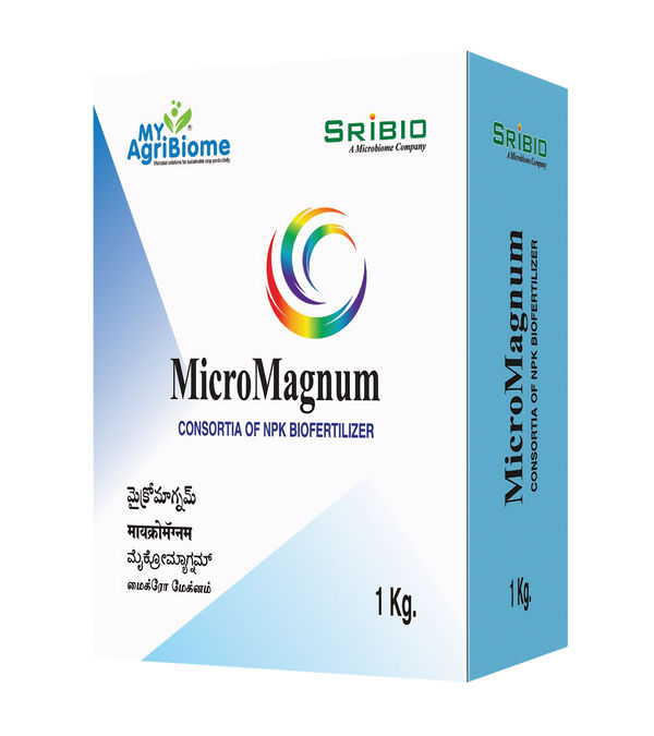 MicroMagnum