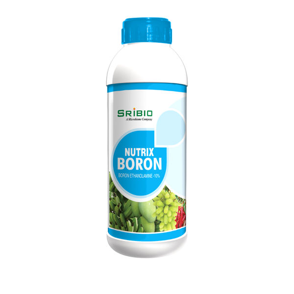 Nutrix Boron