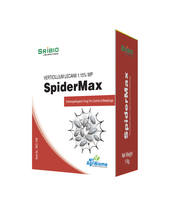 SpiderMax