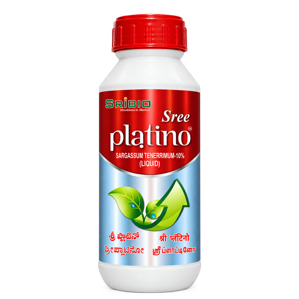 Sree Platino pack