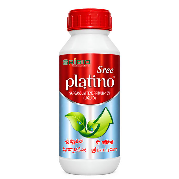 Sree Platino