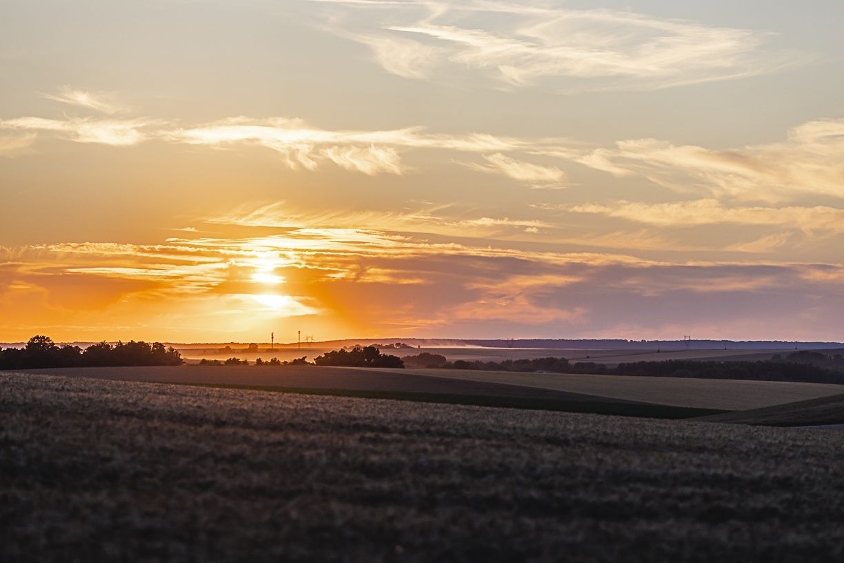 Soligny Purs Malts: le Chant du Coq en collections Hiver-Printemps et été-Automne - Soligny