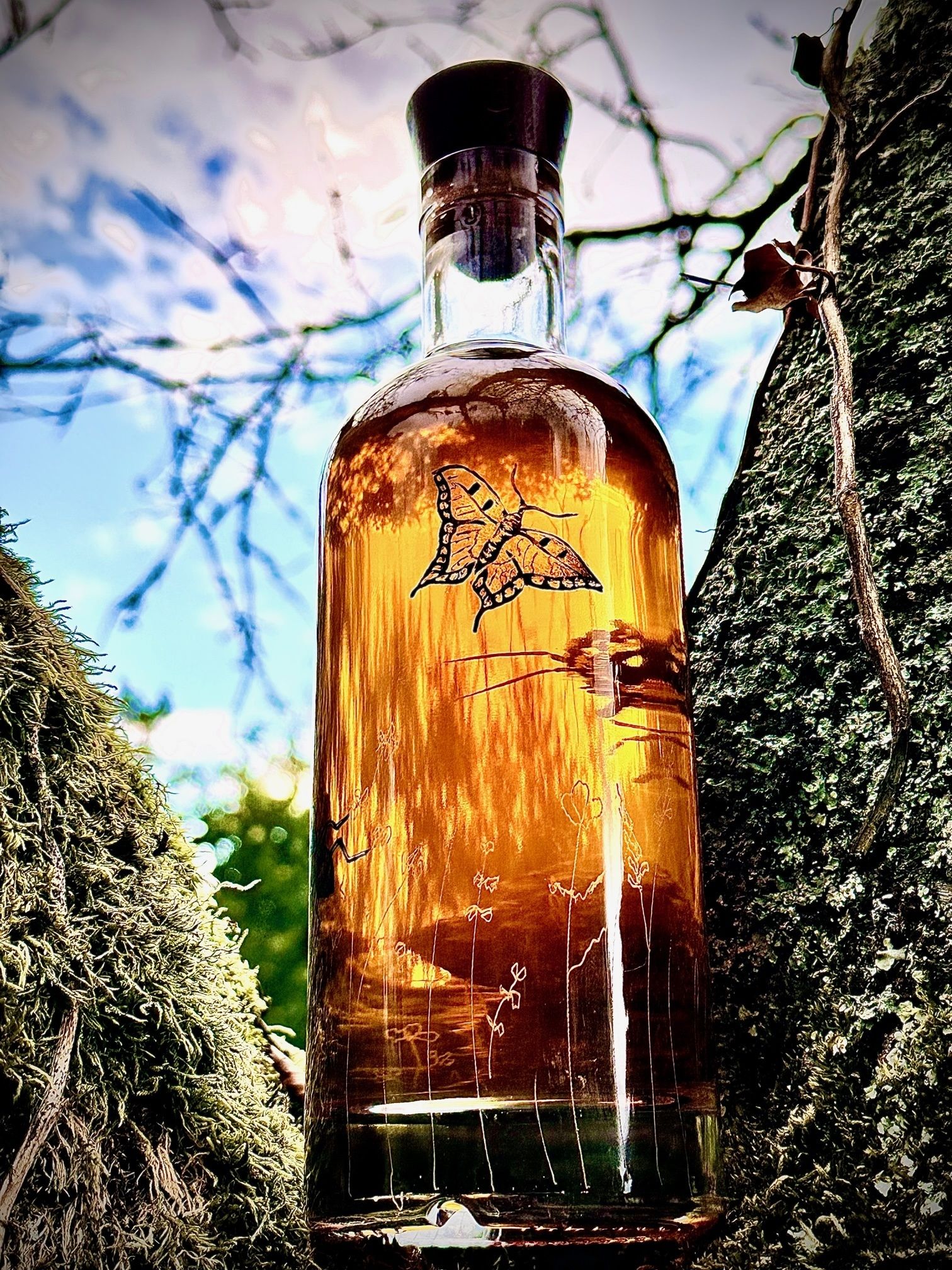 Premier Whisky Single Malt de Soligny : « Aube » - Soligny