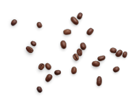 coffee/beans.3.webp