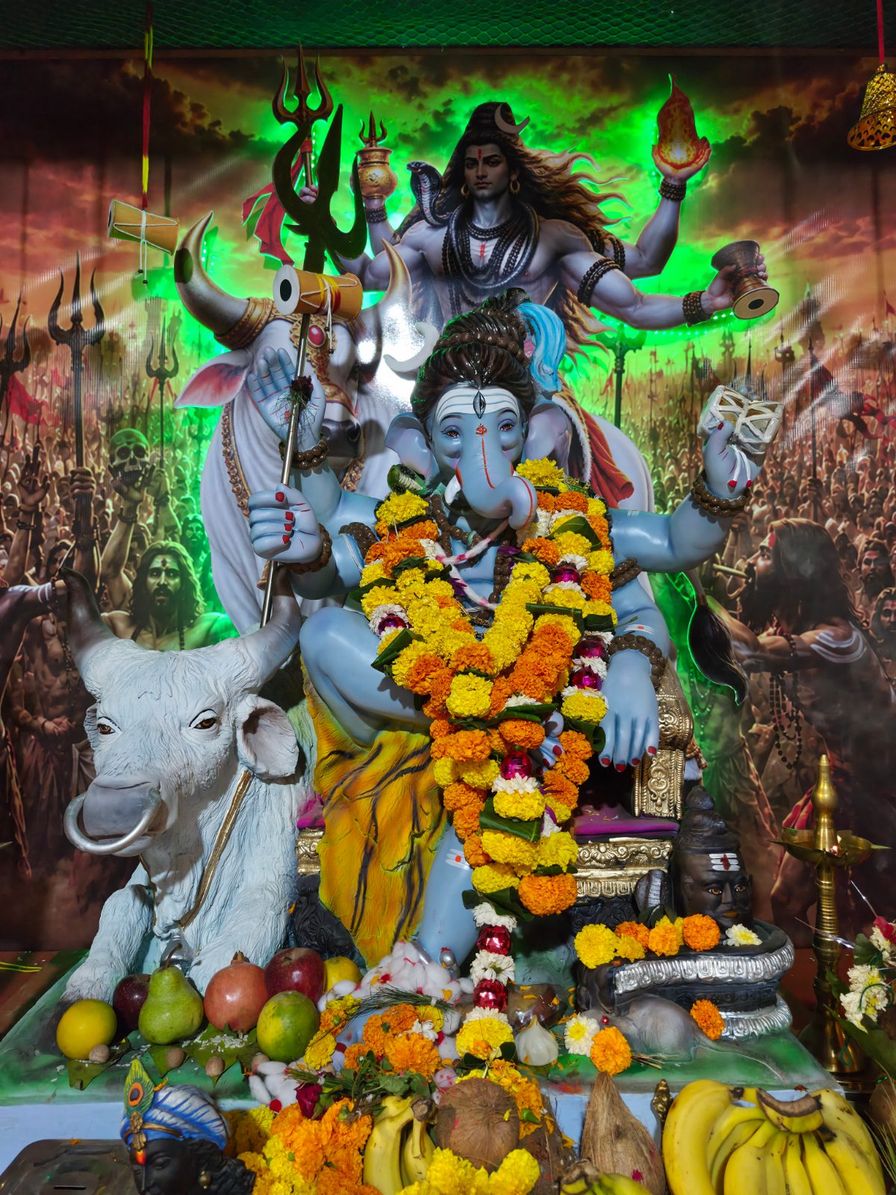 Pahadi goregaon cha raja