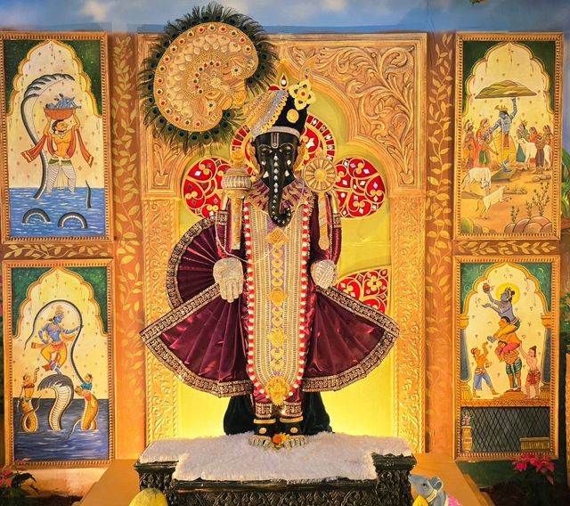 Vinayak Nagar Sarwajanik Ganeshutsav Mandal
