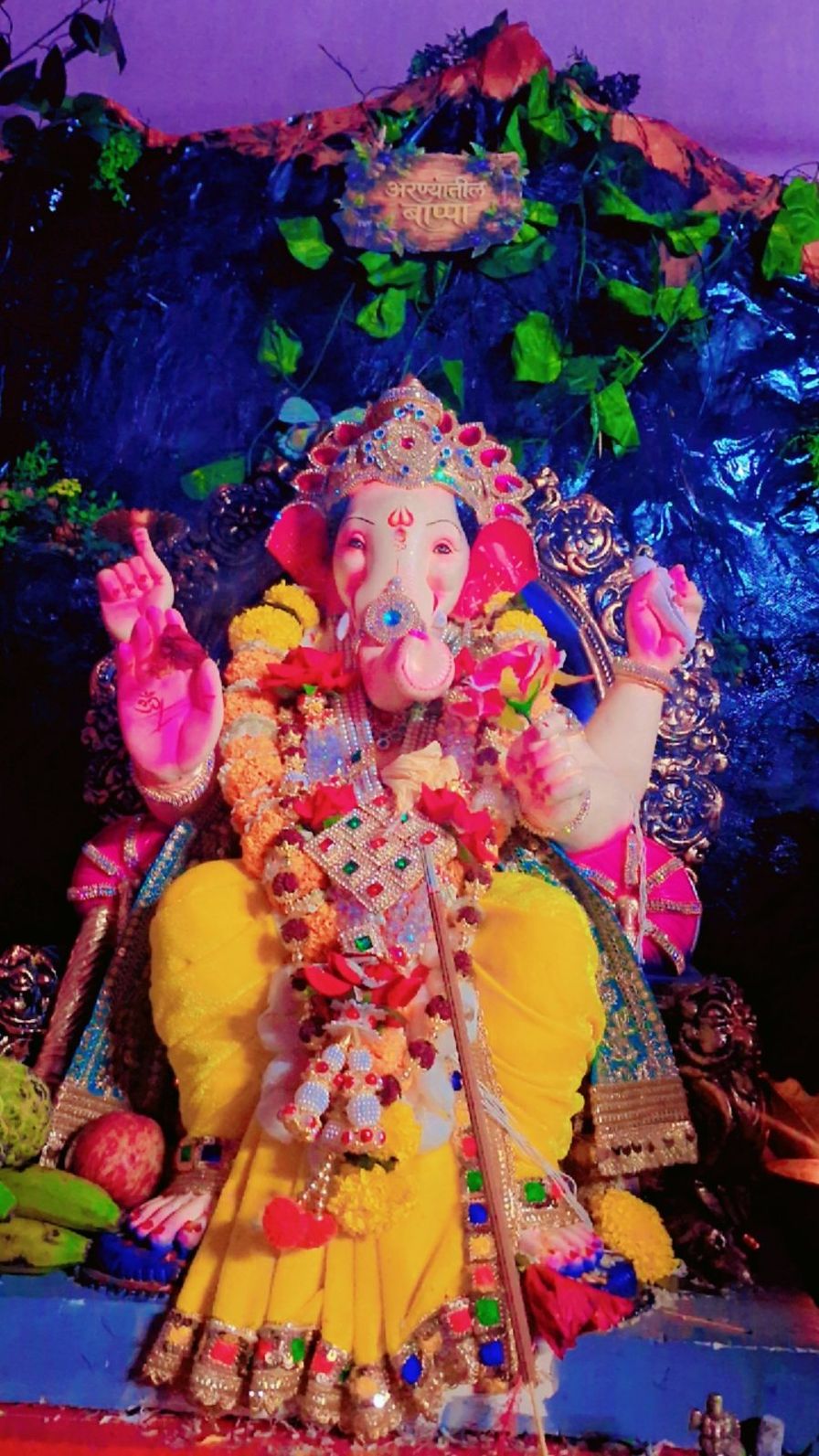 अरण्यातील bappa
