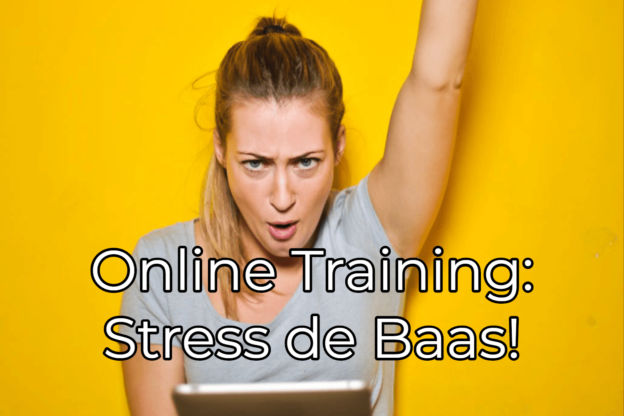 Leer stress de baas te worden in deze online training