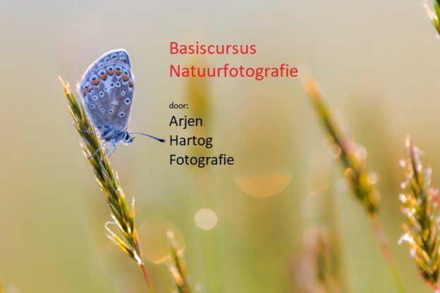 Online basiscursus natuurfotografie
