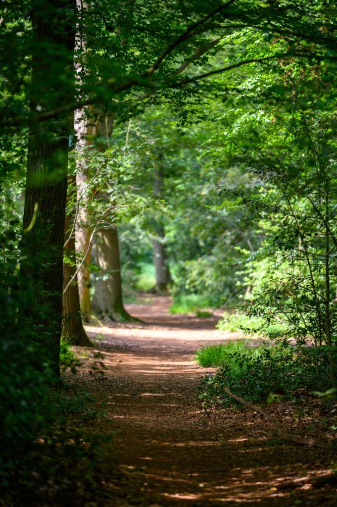 Word instructeur in out-door wandelmeditatie