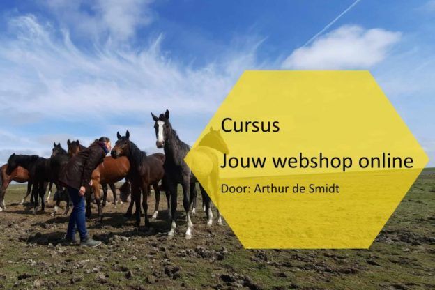 Leer hoe je eenvoudig jouw webshop online kunt zetten
