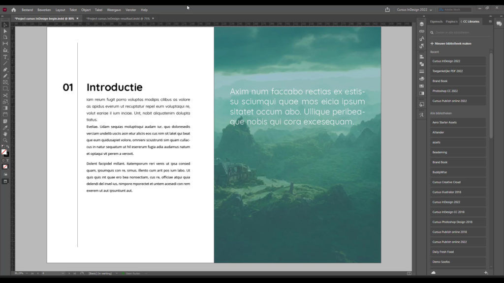 Leer je ontwerpen tot leven brengen in dynamische layouts die het ook van de lezer trekken.