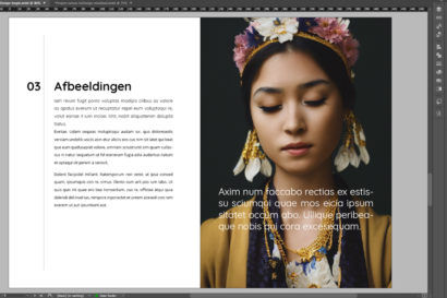 Leer alles over InDesign in dit complete online leertraject
