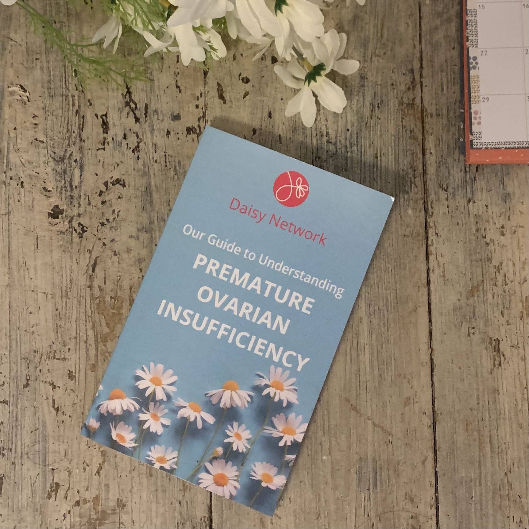 You can buy this Guidebook on Amazon