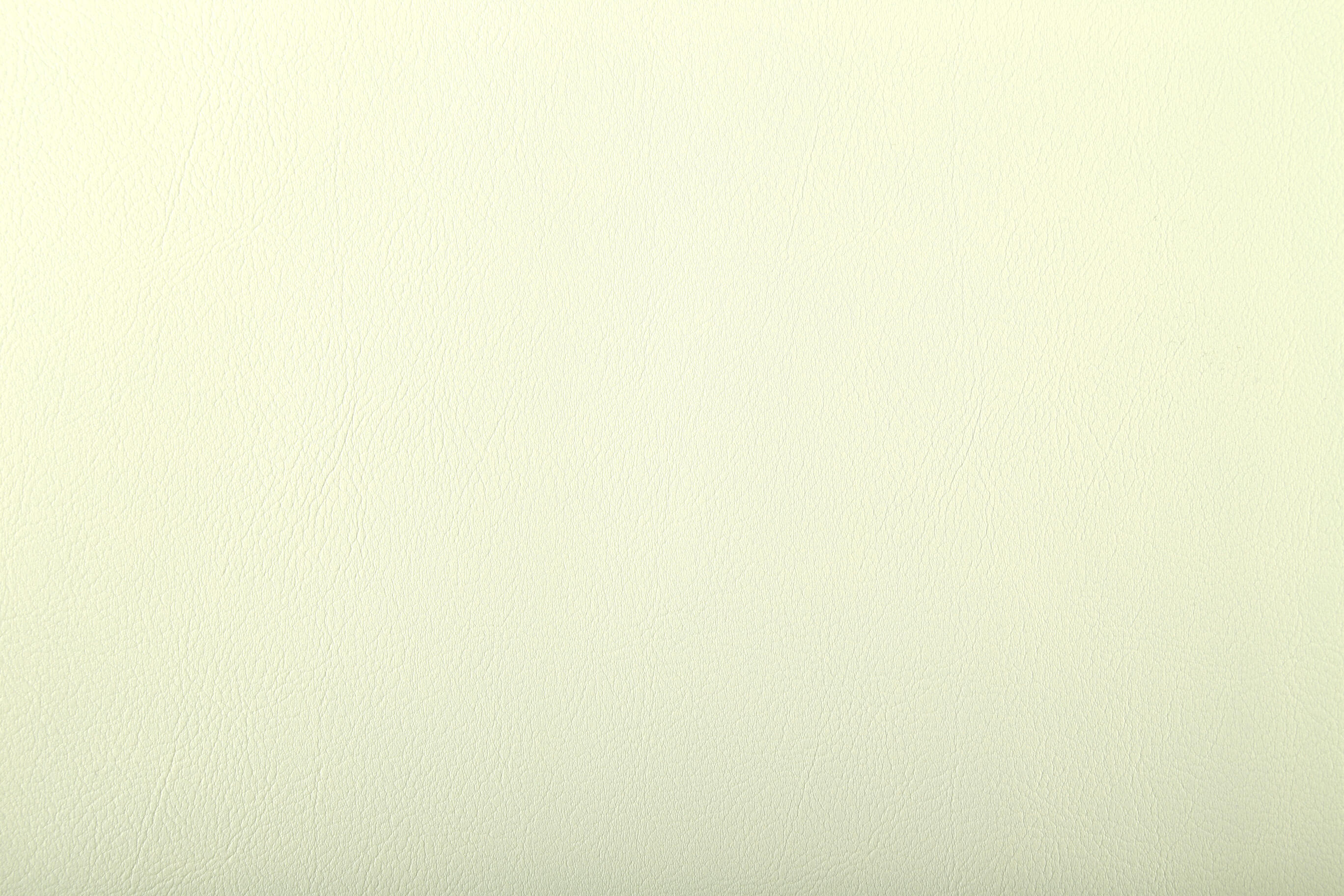 9002 Ivory