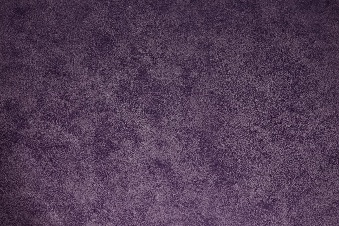 6569 Purple