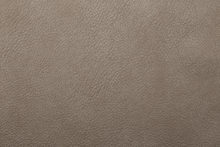 ARIZONA 6228 Mink surface sample