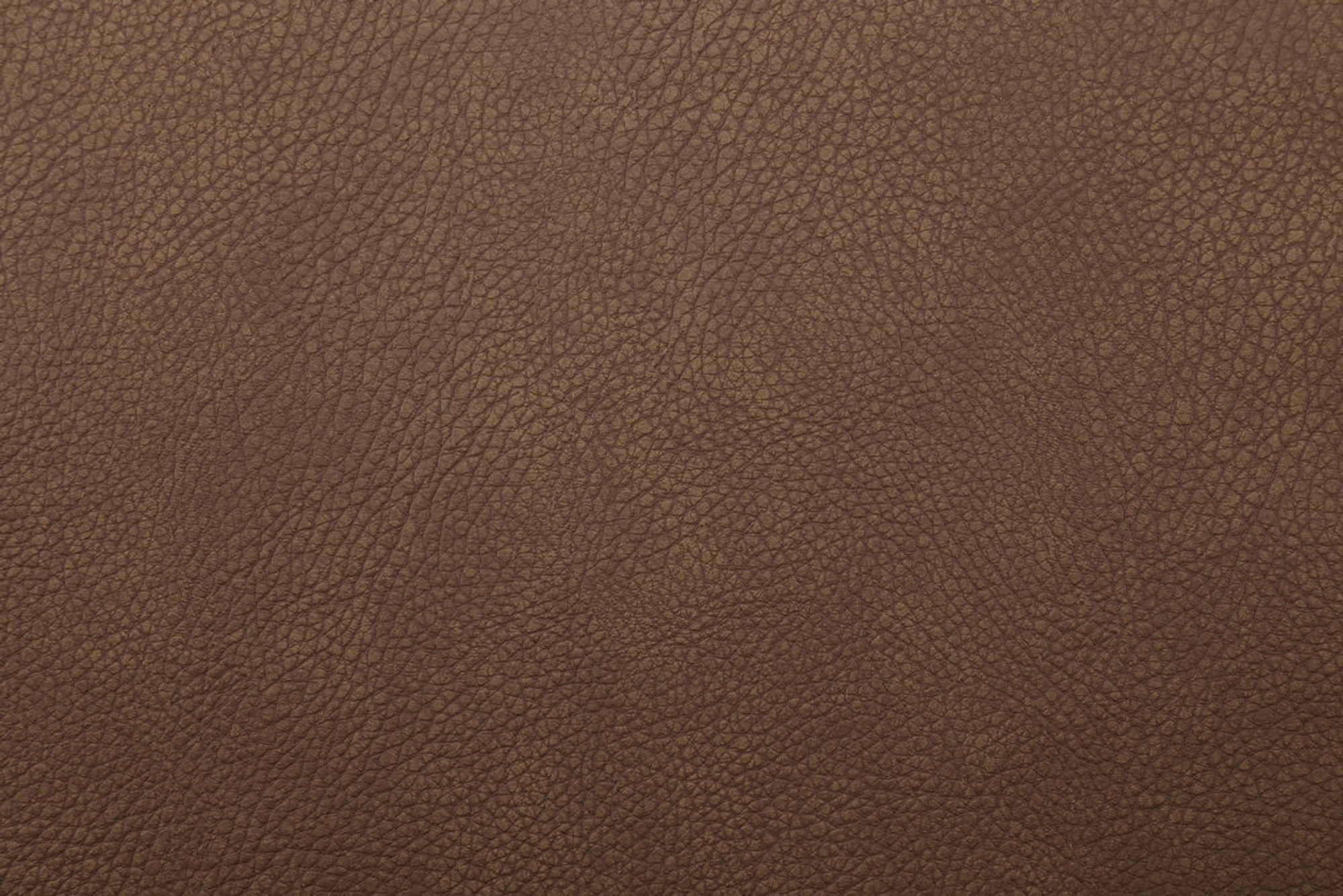 ARIZONA 6229 Tan surface detail