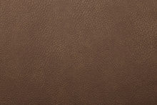 ARIZONA 6229 Tan surface sample