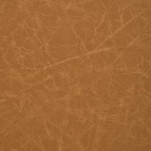 ARTEMIS 8061 Mustard surface sample