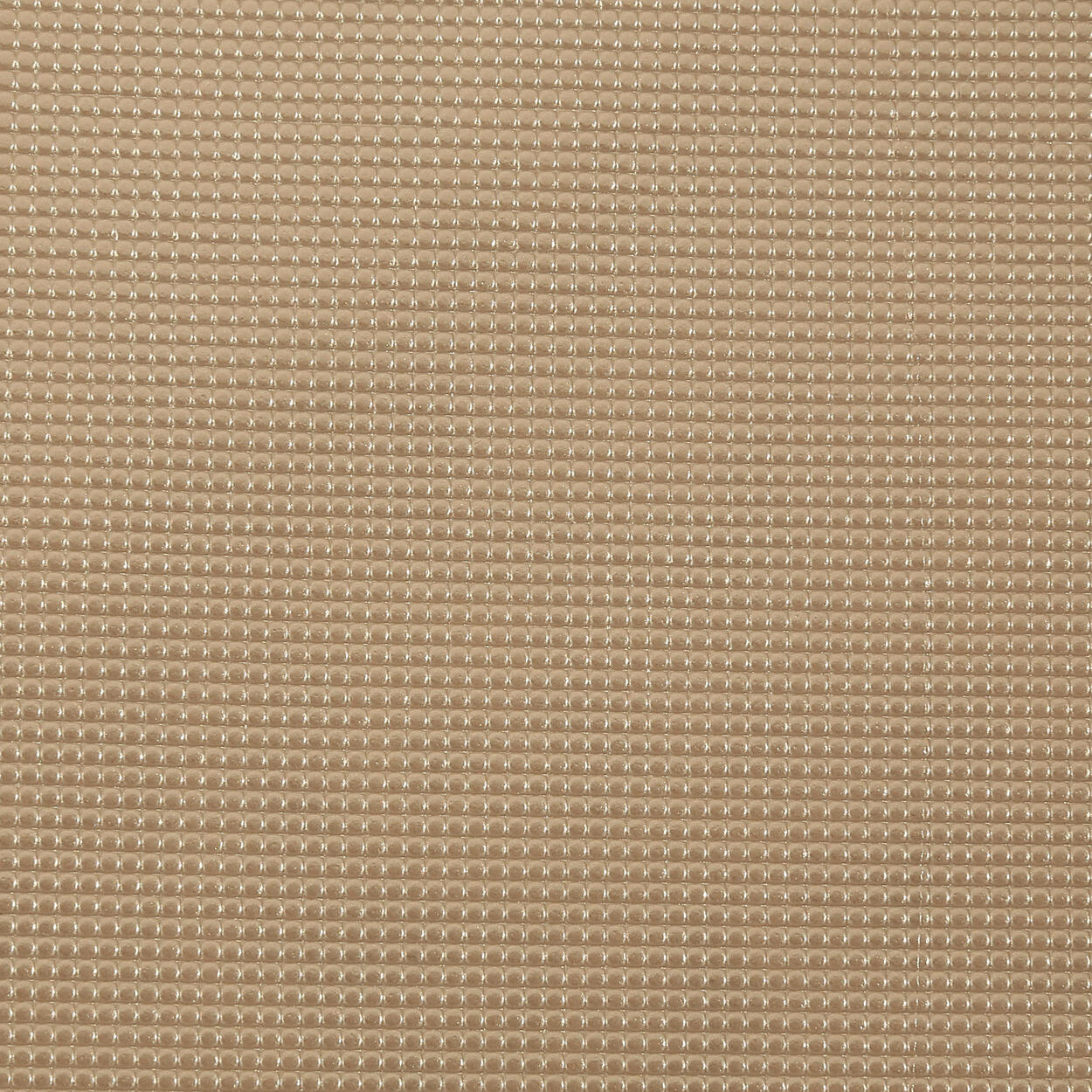 1240 Beige
