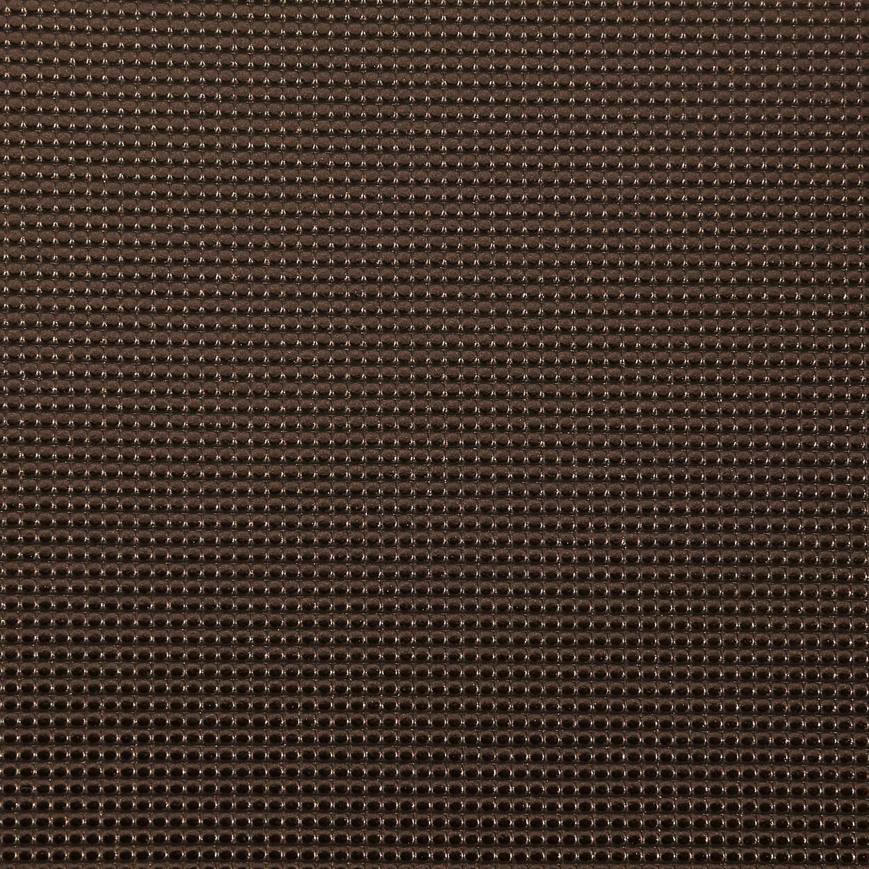 1249 Mocha