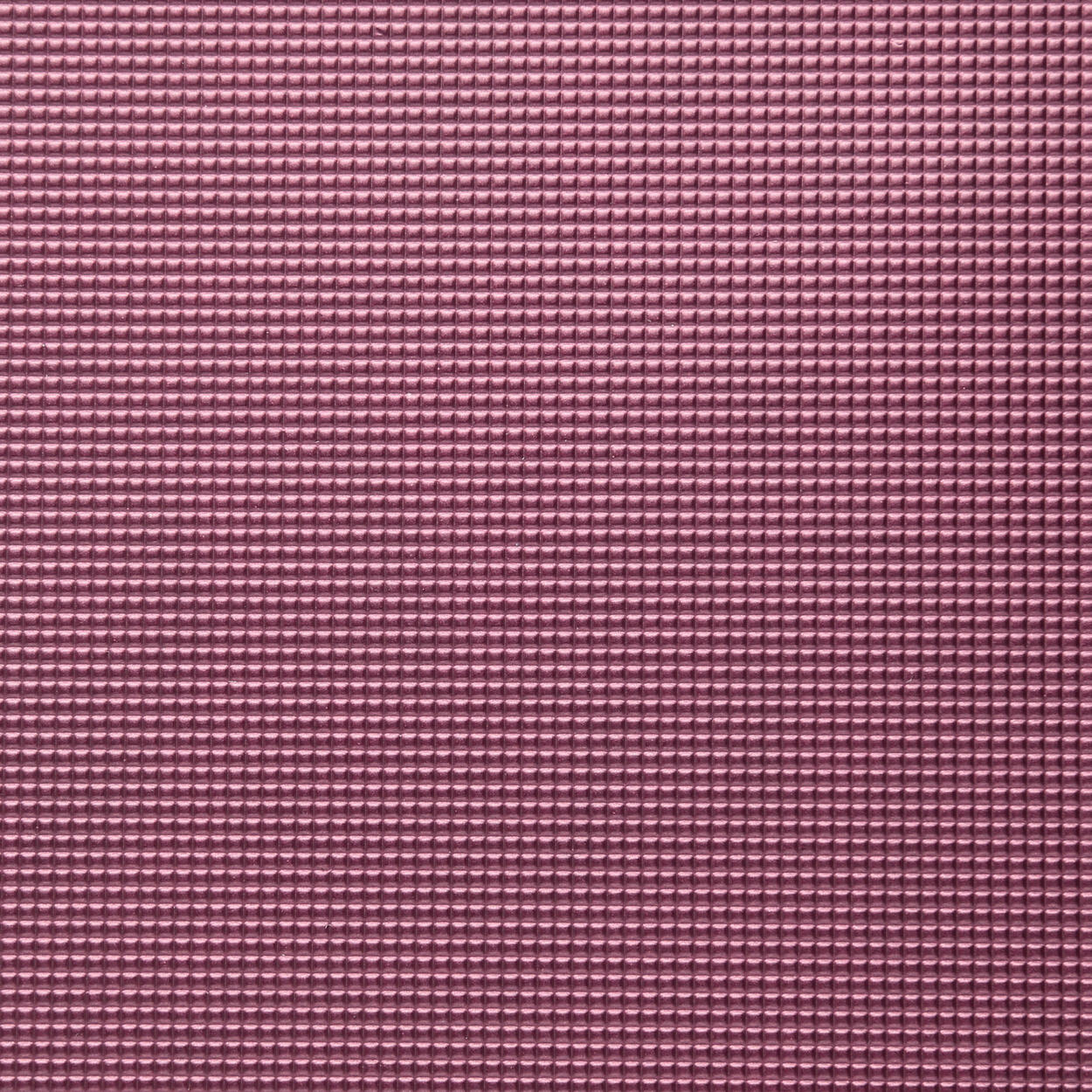 1254 Raspberry