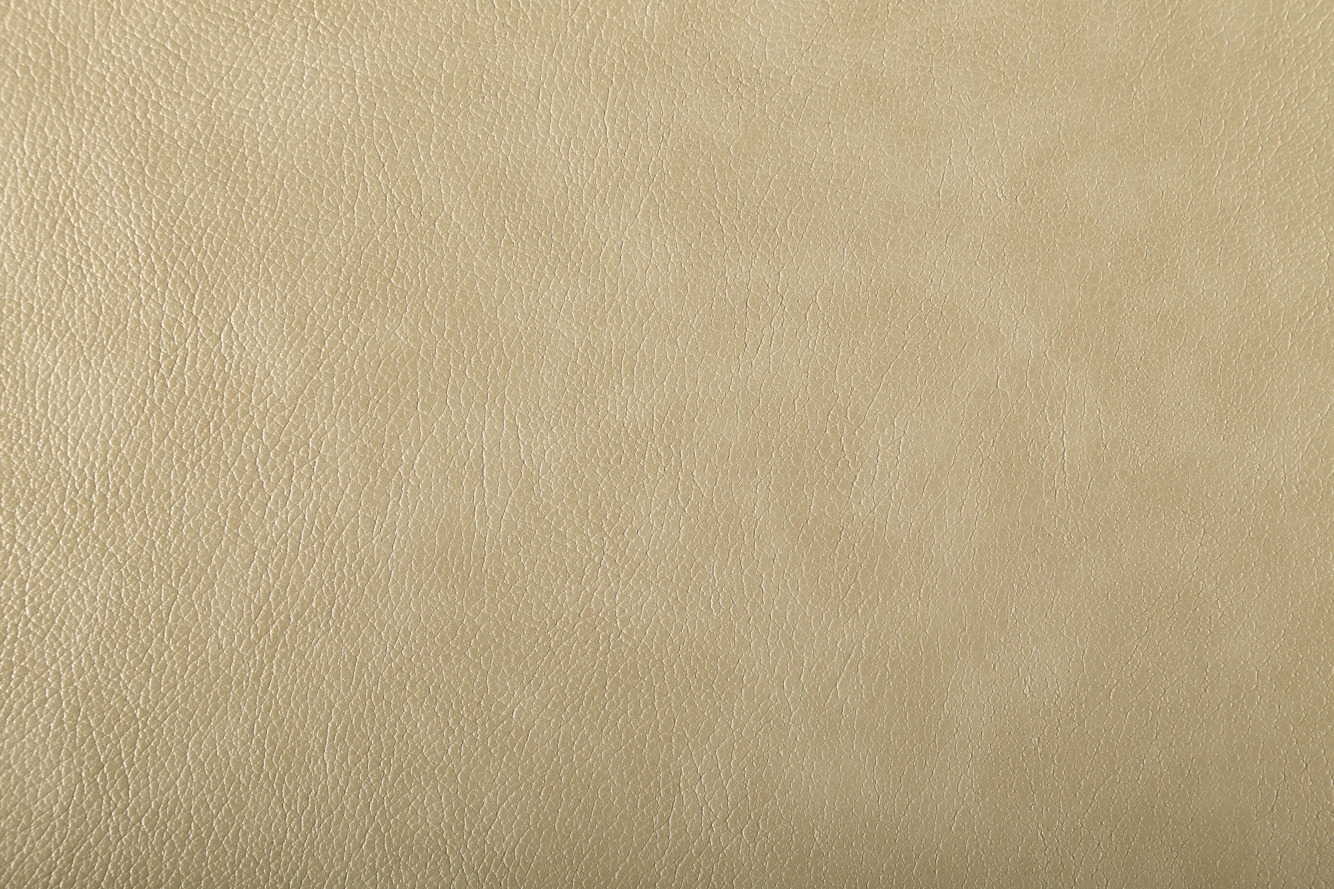 4303 Cream