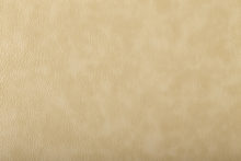 BAMBI 4304 Beige surface sample