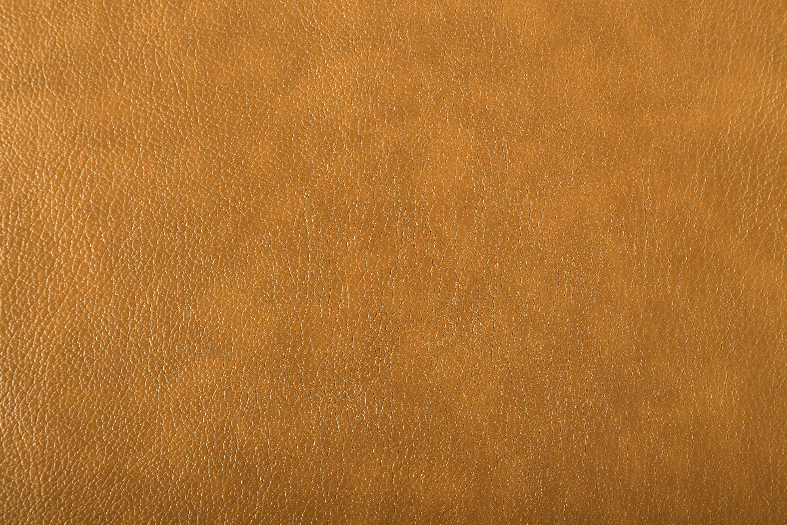 4305 Camel