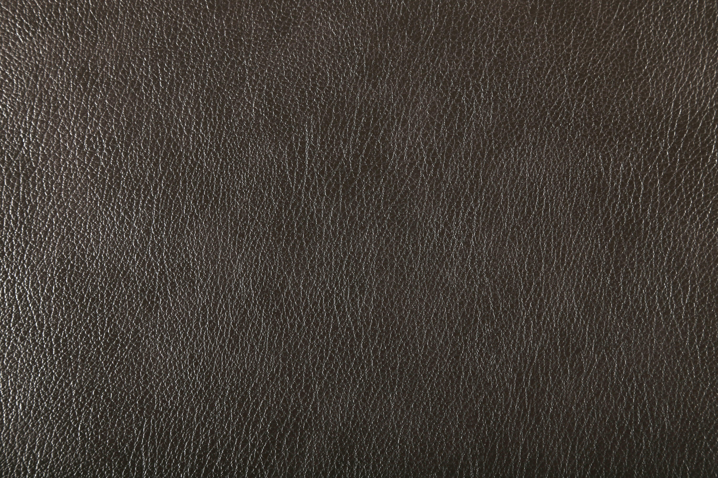 4309 Dark Brown
