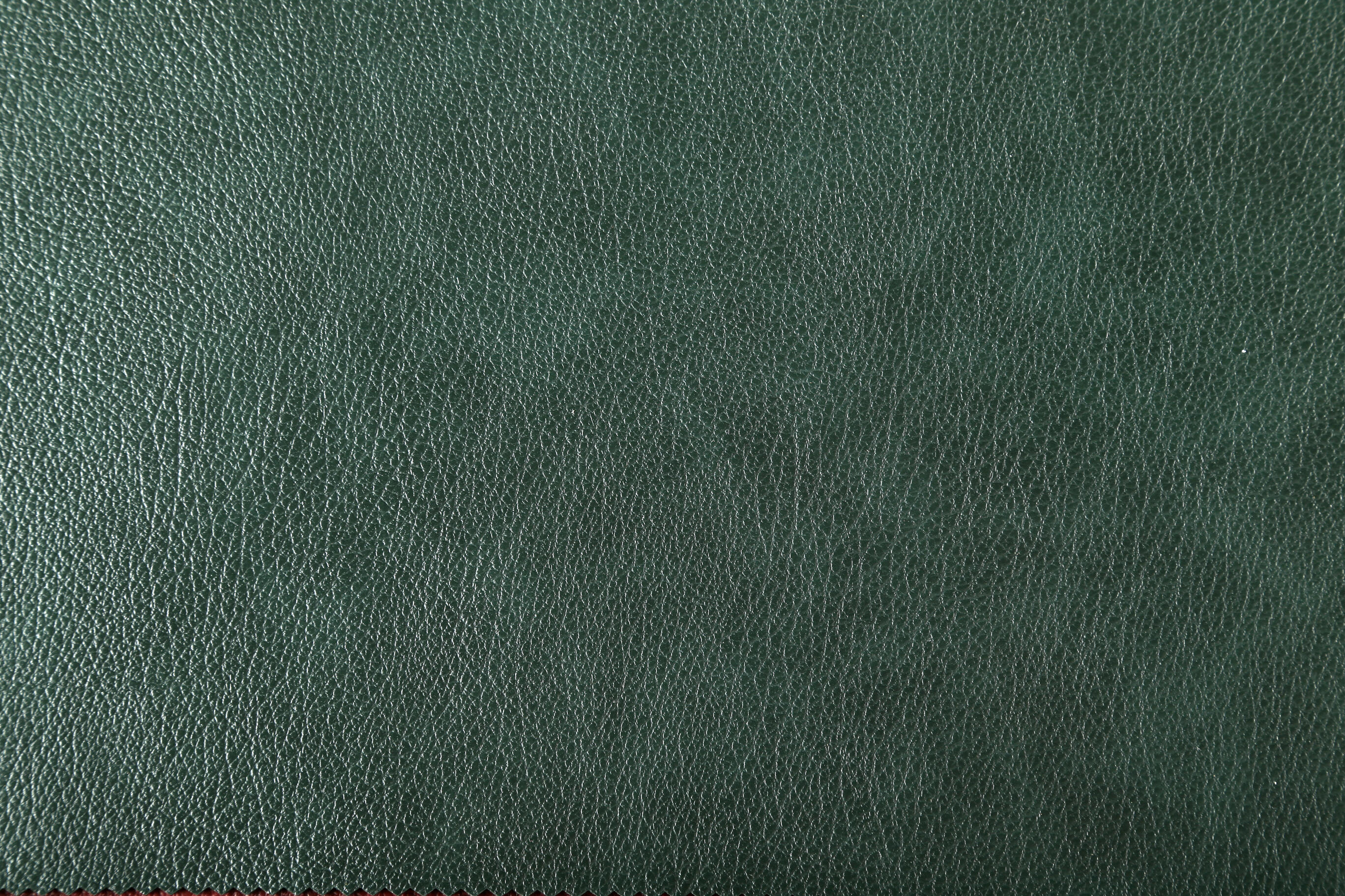 4313 Green