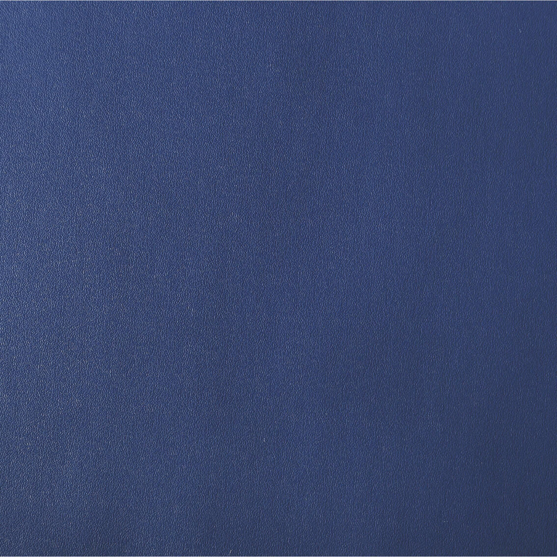 1129 Blue