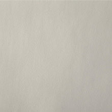 BENTLEY 1127 Bone surface sample