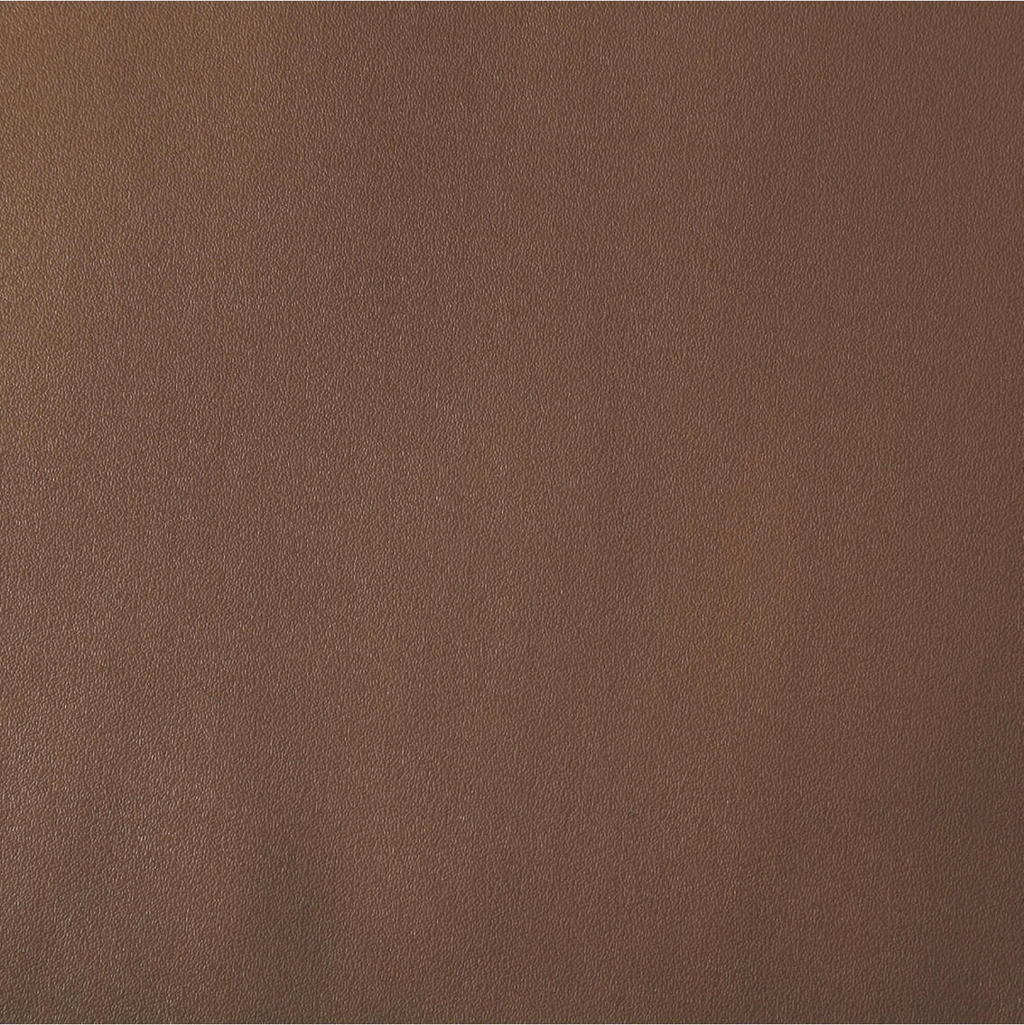 1121 Hazelnut