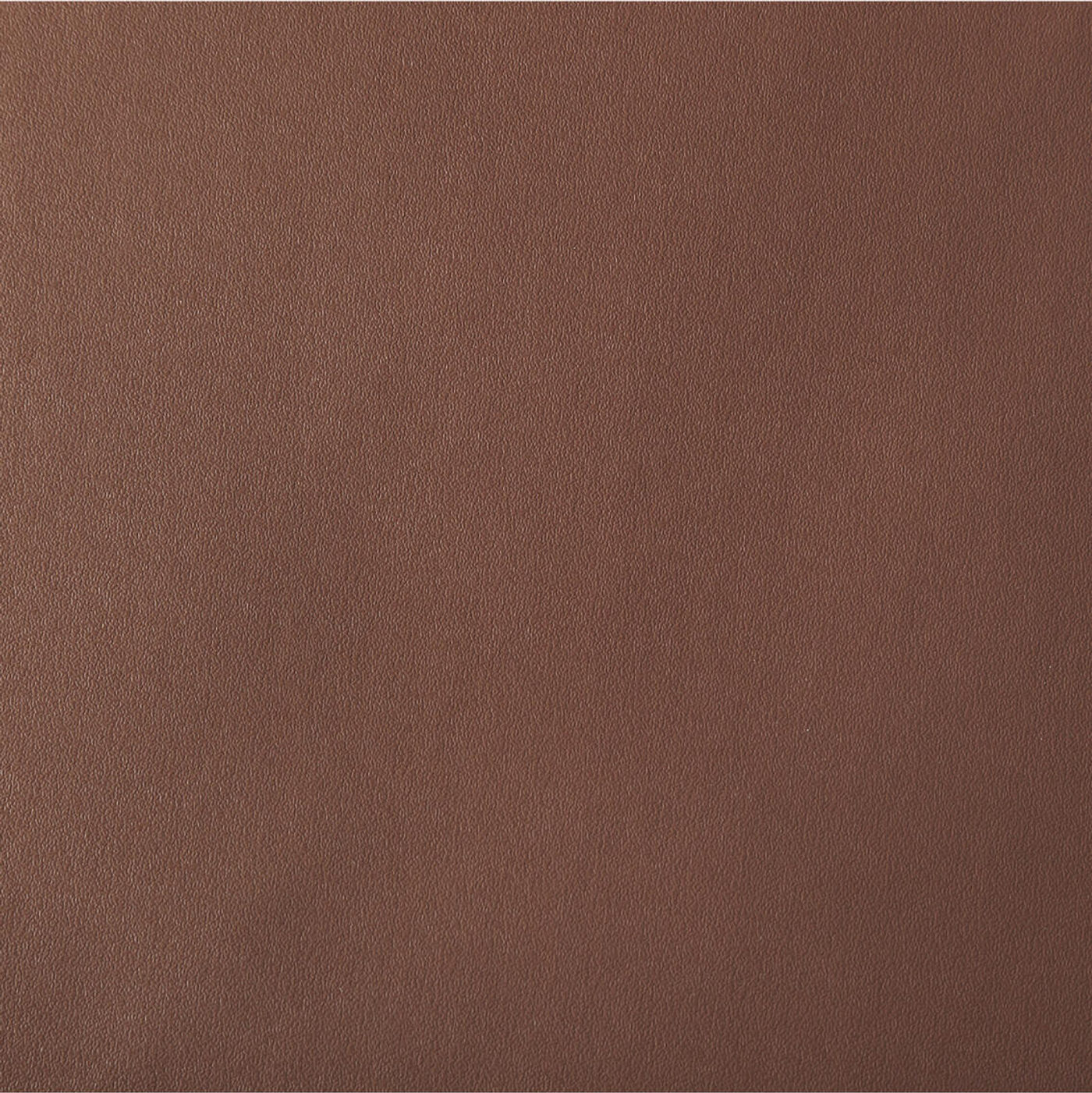 BENTLEY 1122 Tan material surface