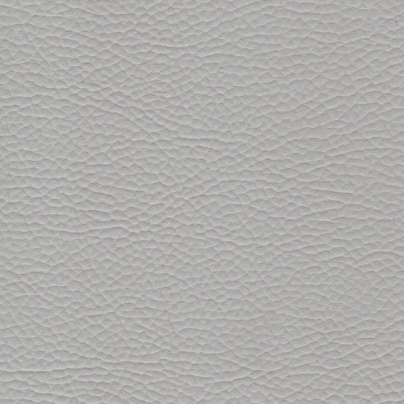 1969 Ice Grey