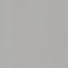 BENZ 1969 Ice Grey surface sample