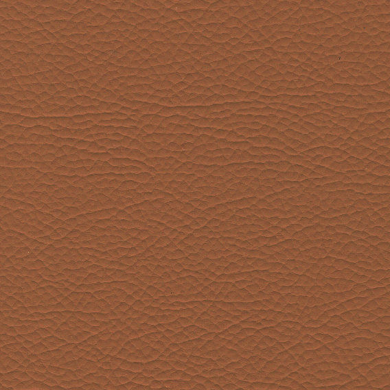 1968 Tan