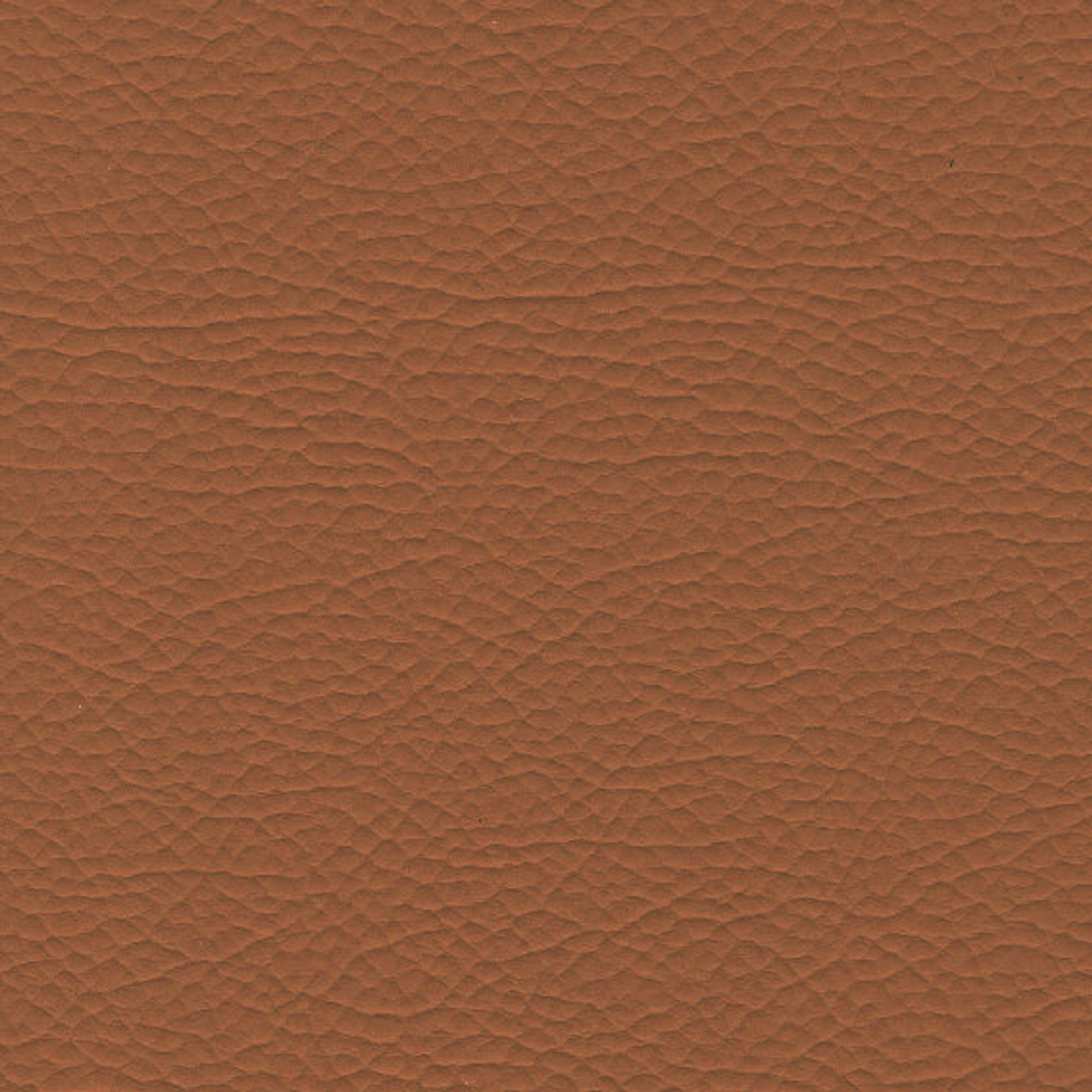 BENZ 1968 Tan surface detail