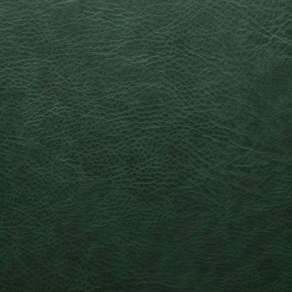 7669 Moss Green