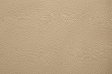 BRESCIA 0147 Chanel surface sample