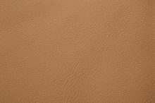 BRESCIA 0576 Tan surface sample